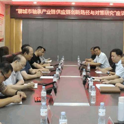 The research team went to Linqing to carry out research activities